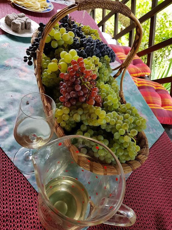 Wine & Nature & Tour Zgornji Leskovec Exterior foto